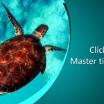 Powerpoint - Морская черепаха